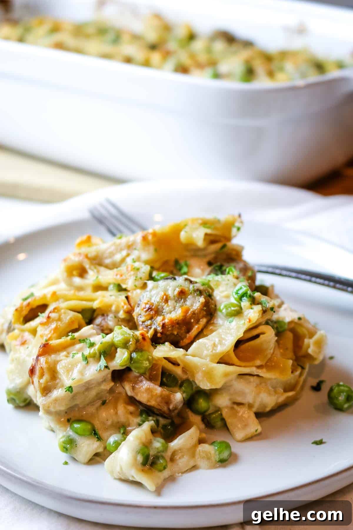 tuna noodle casserole on white plate.