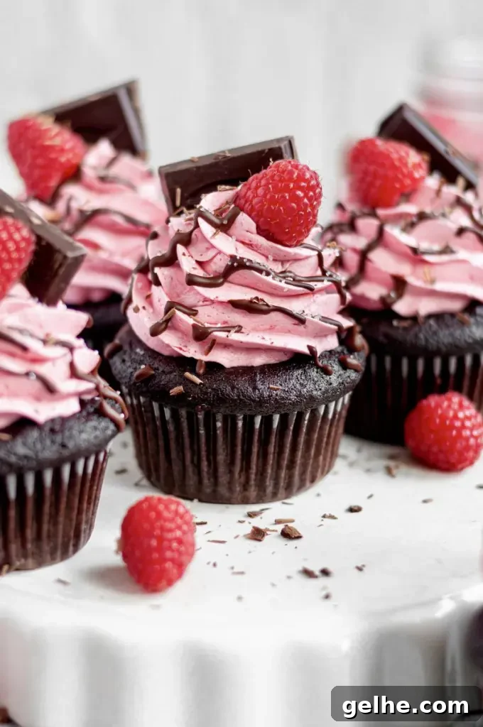 Dark chocolate cupcakes with pink raspberry buttercream swirled on top. There's a bright red raspberry on the top of the frosting swirl with a square of dark chocolate.
