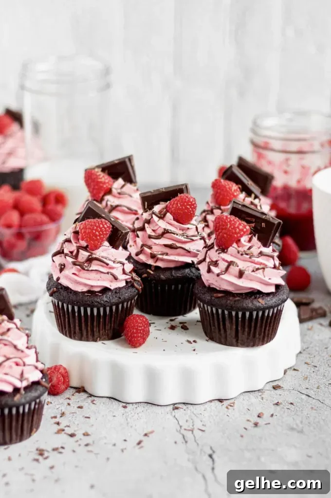 Dark chocolate cupcakes with pink raspberry buttercream swirled on top. There's a bright red raspberry on the top of the frosting swirl with a square of dark chocolate.