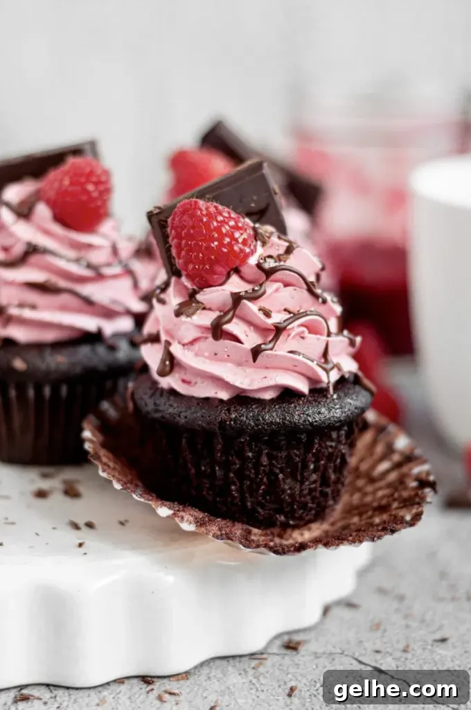 Dark chocolate cupcakes with pink raspberry buttercream swirled on top. There's a bright red raspberry on the top of the frosting swirl with a square of dark chocolate.