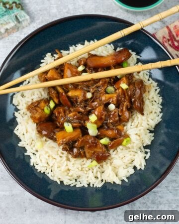 Hoisin Chicken served over rice in a bowl.