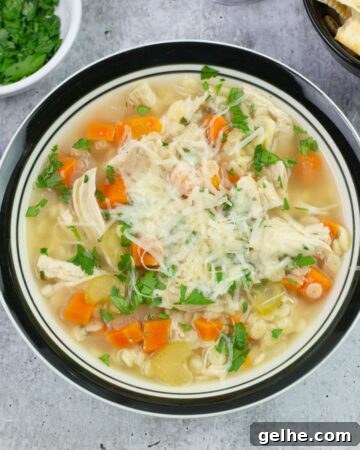 Chicken Pastina Soup in a bowl garnished with parsley and Parmesan cheese.