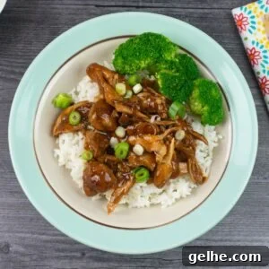 Single serving of Instant Pot Chicken Adobo over rice with steamed broccoli.