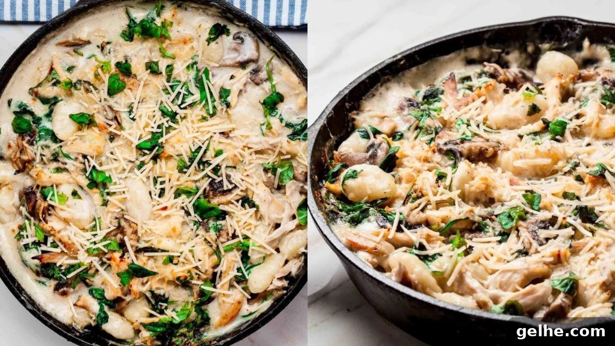 Gnocchi with Chicken