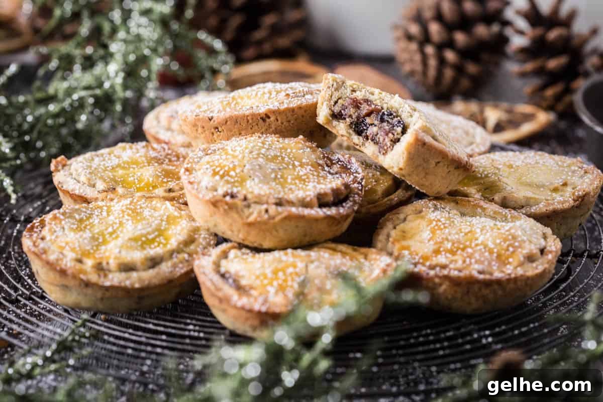 Gluten-Free Suet Mincemeat Recipe for Classic Pies 4 img 9507 3