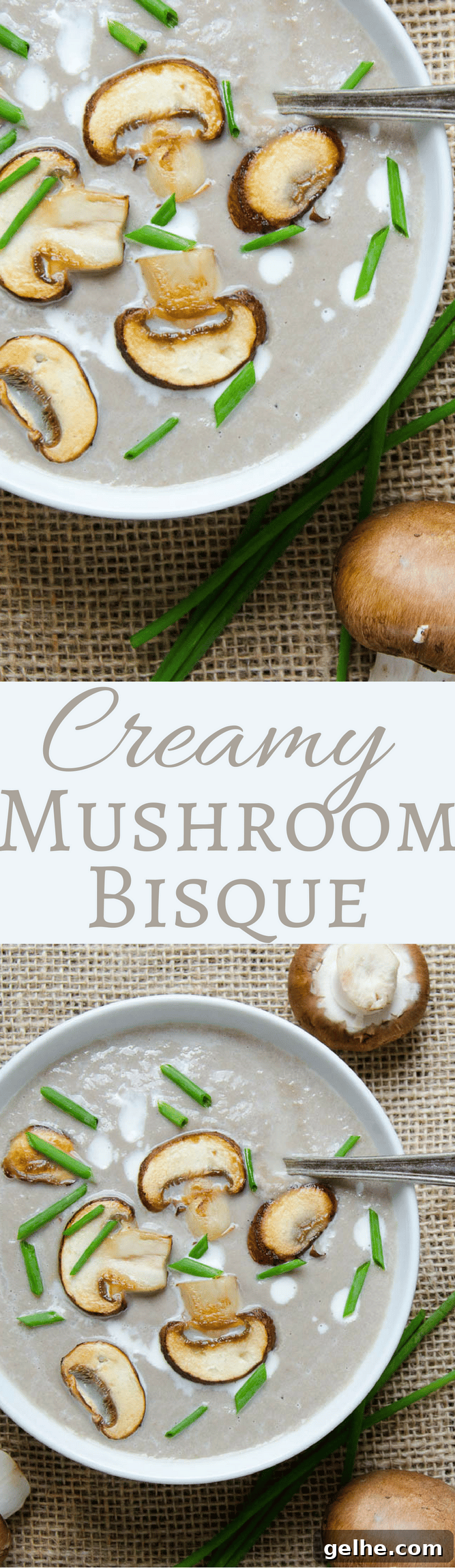 Silky Mushroom Bisque Recipe 8 Who needs Campbell's? Homemade cream of mushroom soup is way better! This Creamy Mushroom Bisque is ready in under an hour!