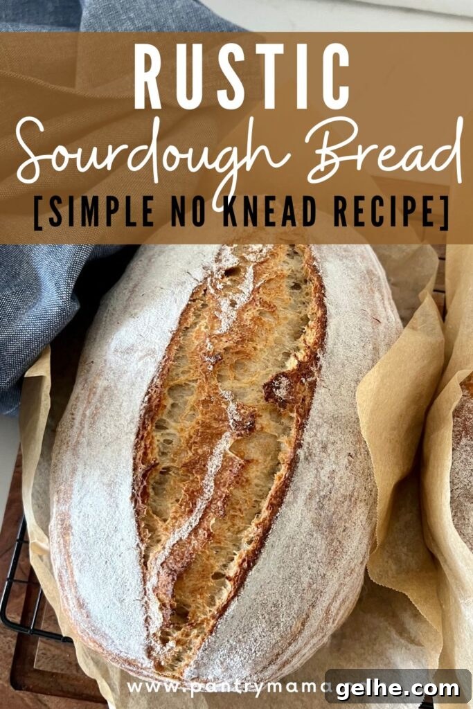 No-Knead Rustic Sourdough Bread Recipe 11 img 16110 10