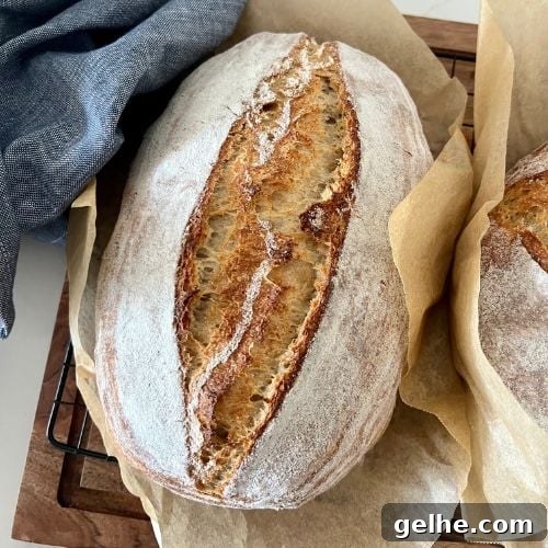 No-Knead Rustic Sourdough Bread Recipe 12 RUSTIC SOURDOUGH BREAD - RECIPE FEATURE IMAGE
