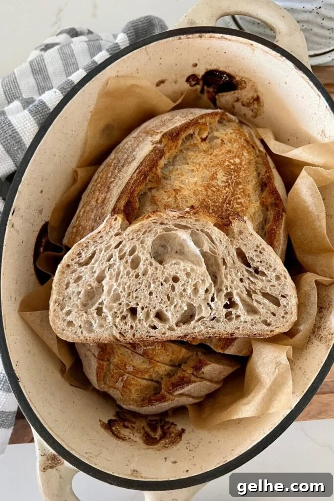 No-Knead Rustic Sourdough Bread Recipe 4 Rustic sourdough bread sitting in a cream enamel Dutch Oven. There is a slice of the bread sitting on top of the loaf to show the whole wheat crumb inside.