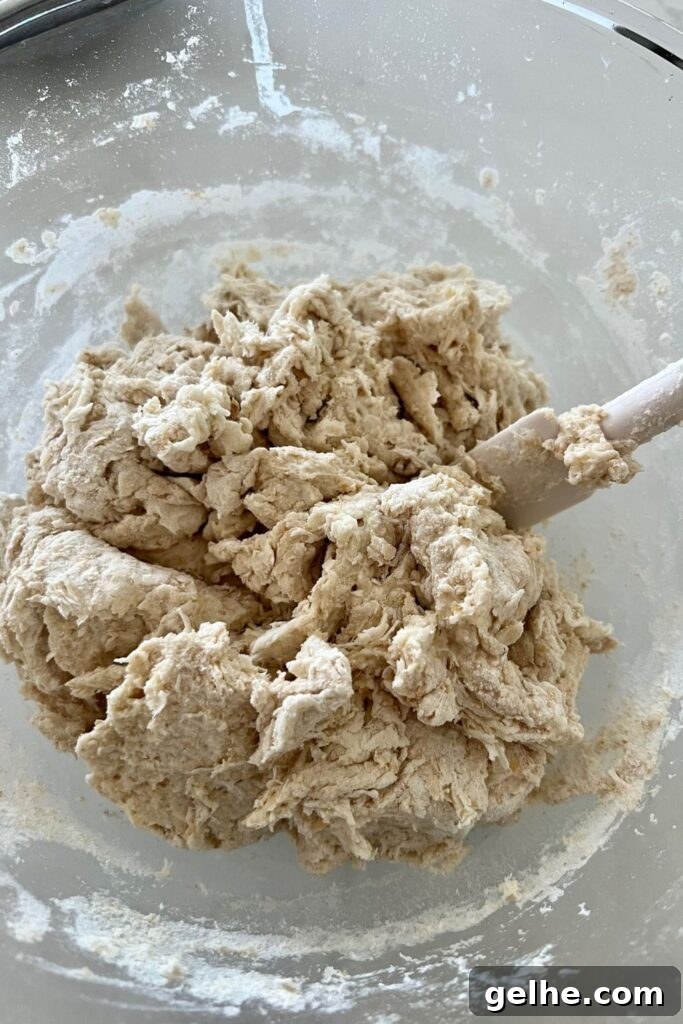 No-Knead Rustic Sourdough Bread Recipe 5 img 16110 4