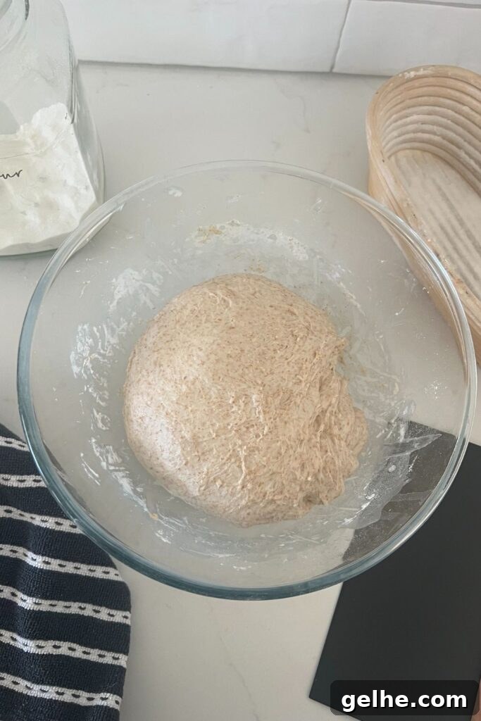 No-Knead Rustic Sourdough Bread Recipe 6 img 16110 5
