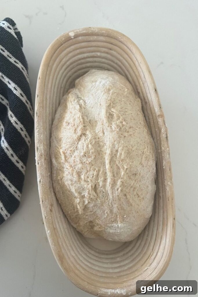 No-Knead Rustic Sourdough Bread Recipe 7 img 16110 6