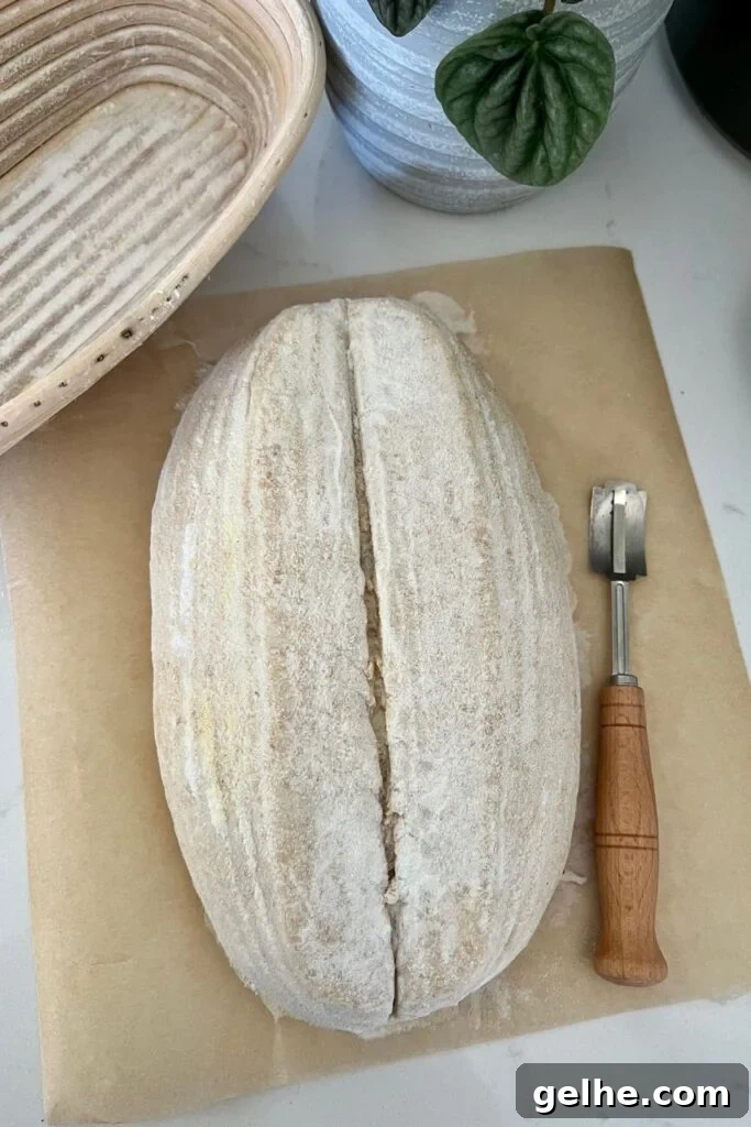 No-Knead Rustic Sourdough Bread Recipe 8 img 16110 7