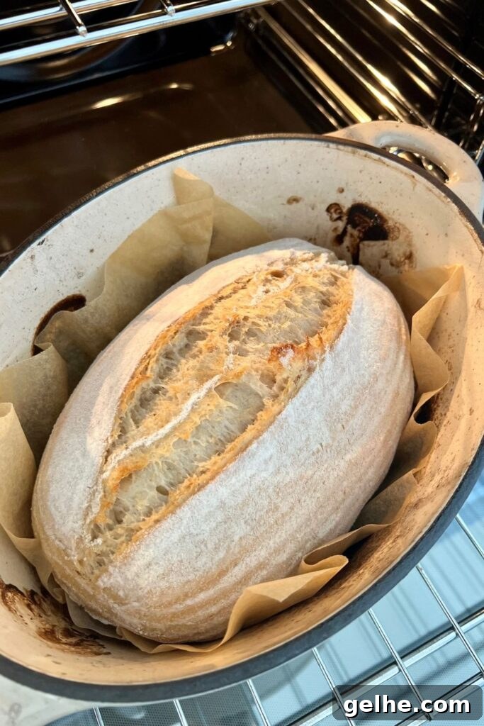No-Knead Rustic Sourdough Bread Recipe 9 img 16110 8