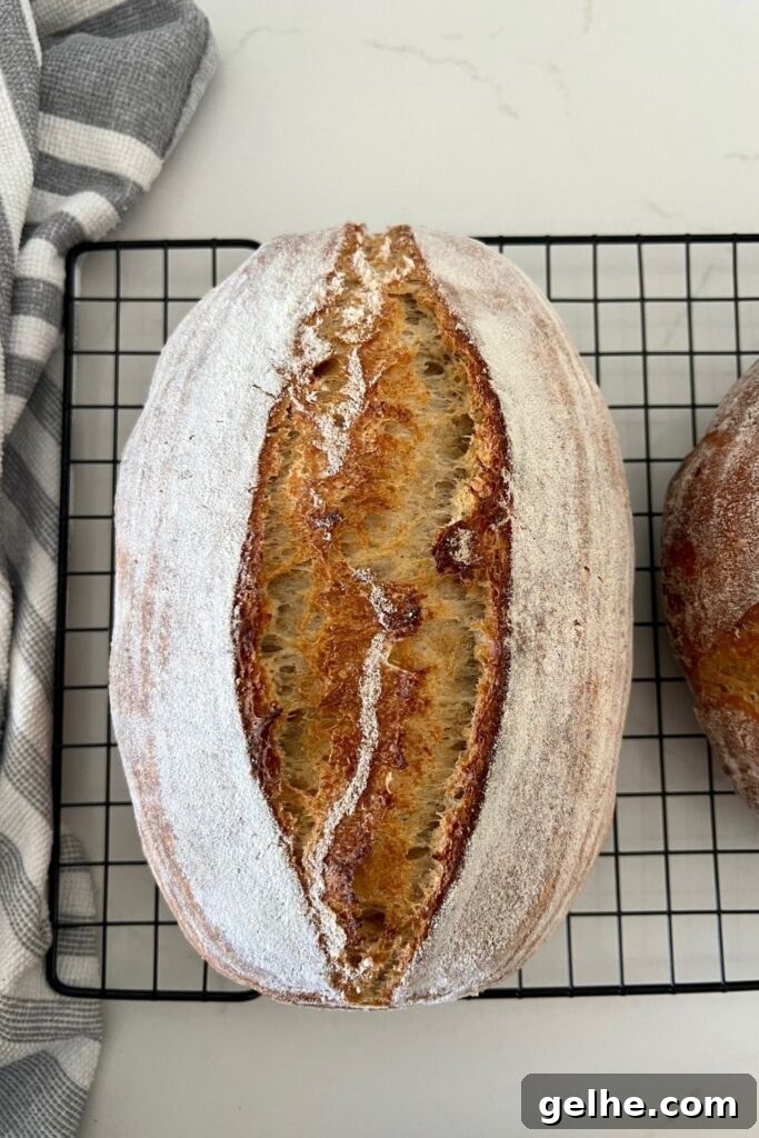No-Knead Rustic Sourdough Bread Recipe 10 img 16110 9