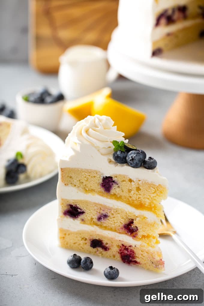 A slice of layered cake on a white plate garnished with blueberries
