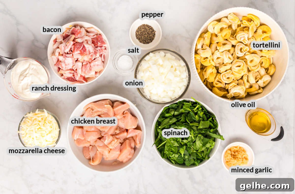 Chicken Bacon Ranch Tortellini Supply Image