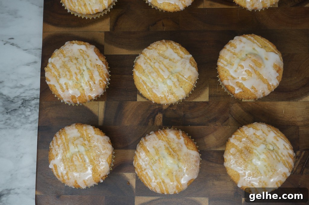 Zesty Lemon Desserts, Breads & Muffins Recipes 17 Lemon Poppy Seed Muffins