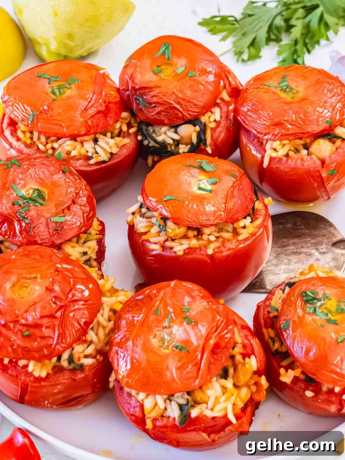 Oven-Baked Stuffed Tomatoes with Herb Breadcrumbs 2 Close-up of stuffed tomatoes with rice, chickpeas, and herbs, served warm on a white plate.