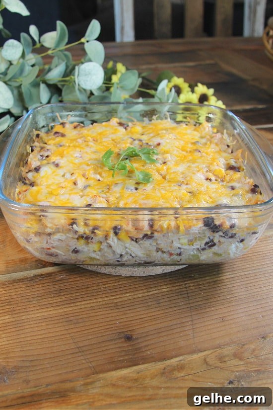 Melted cheese covering shredded chicken and black beans in a sour cream sauce.