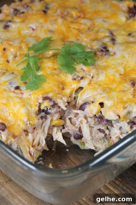 Tex-Mex Chicken Casserole
