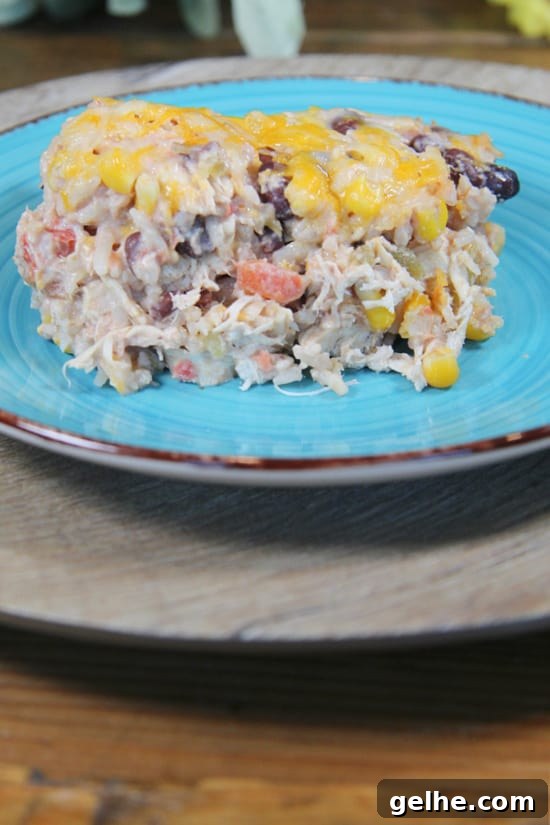 A serving of delicious shredded chicken breast, black beans, and corn smothered in melted cheese.