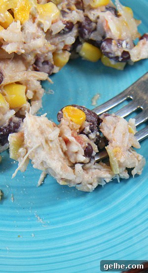 A bite of a delicious hot dish made of corn, black beans, chicken, and green chiles in a sour cream sauce.