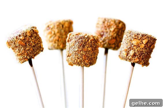 S'mores Pops